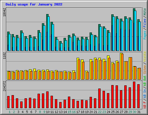 Daily usage for January 2022