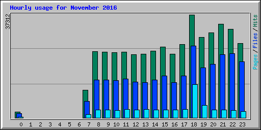 Hourly usage for November 2016