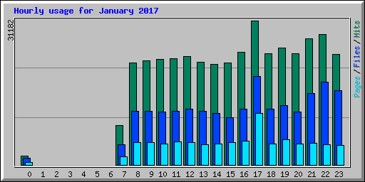 Hourly usage for January 2017