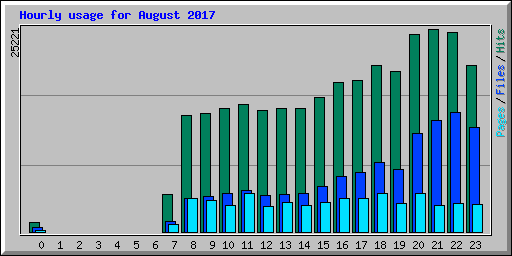 Hourly usage for August 2017