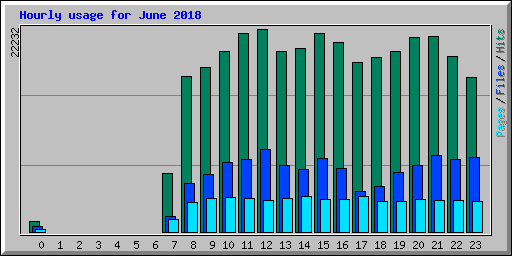 Hourly usage for June 2018