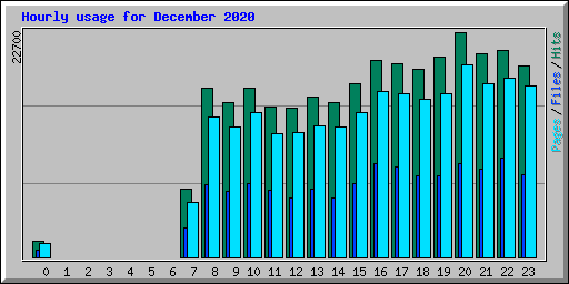 Hourly usage for December 2020