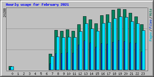 Hourly usage for February 2021