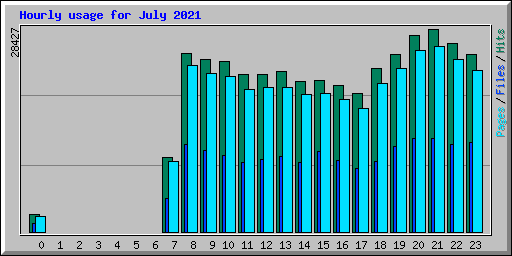 Hourly usage for July 2021