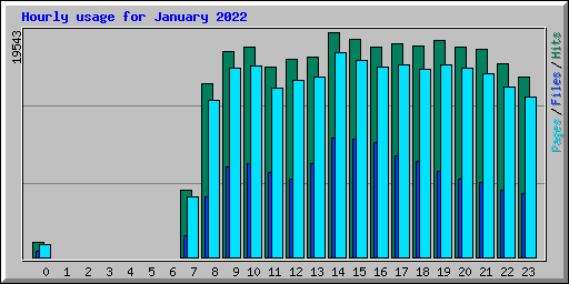 Hourly usage for January 2022