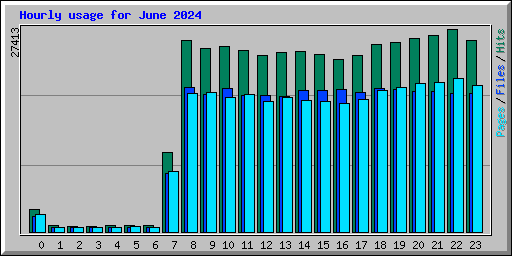 Hourly usage for June 2024