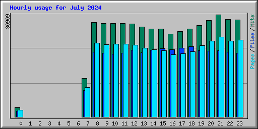 Hourly usage for July 2024