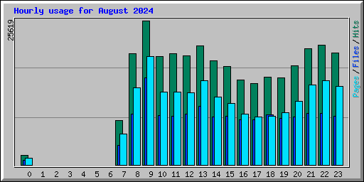 Hourly usage for August 2024