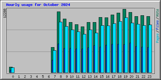 Hourly usage for October 2024