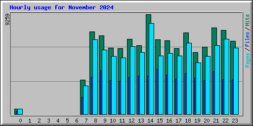 Hourly usage for November 2024