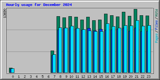 Hourly usage for December 2024