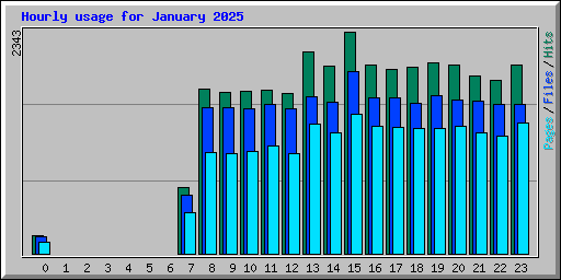 Hourly usage for January 2025