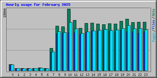 Hourly usage for February 2025