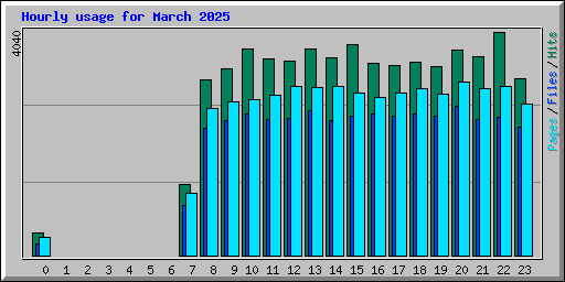 Hourly usage for March 2025