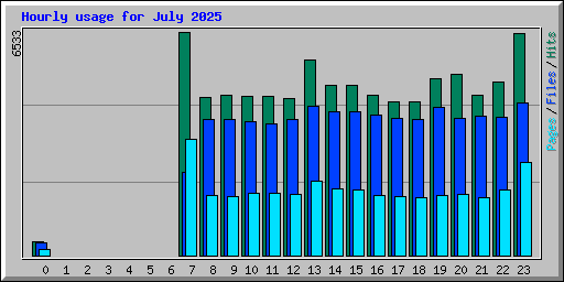 Hourly usage for July 2025