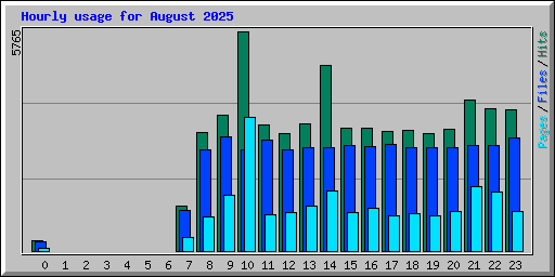 Hourly usage for August 2025