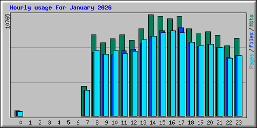 Hourly usage for January 2026