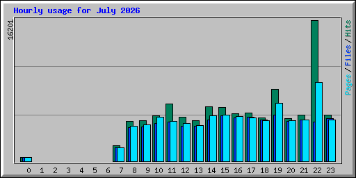 Hourly usage for July 2026