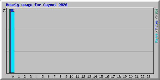 Hourly usage for August 2026